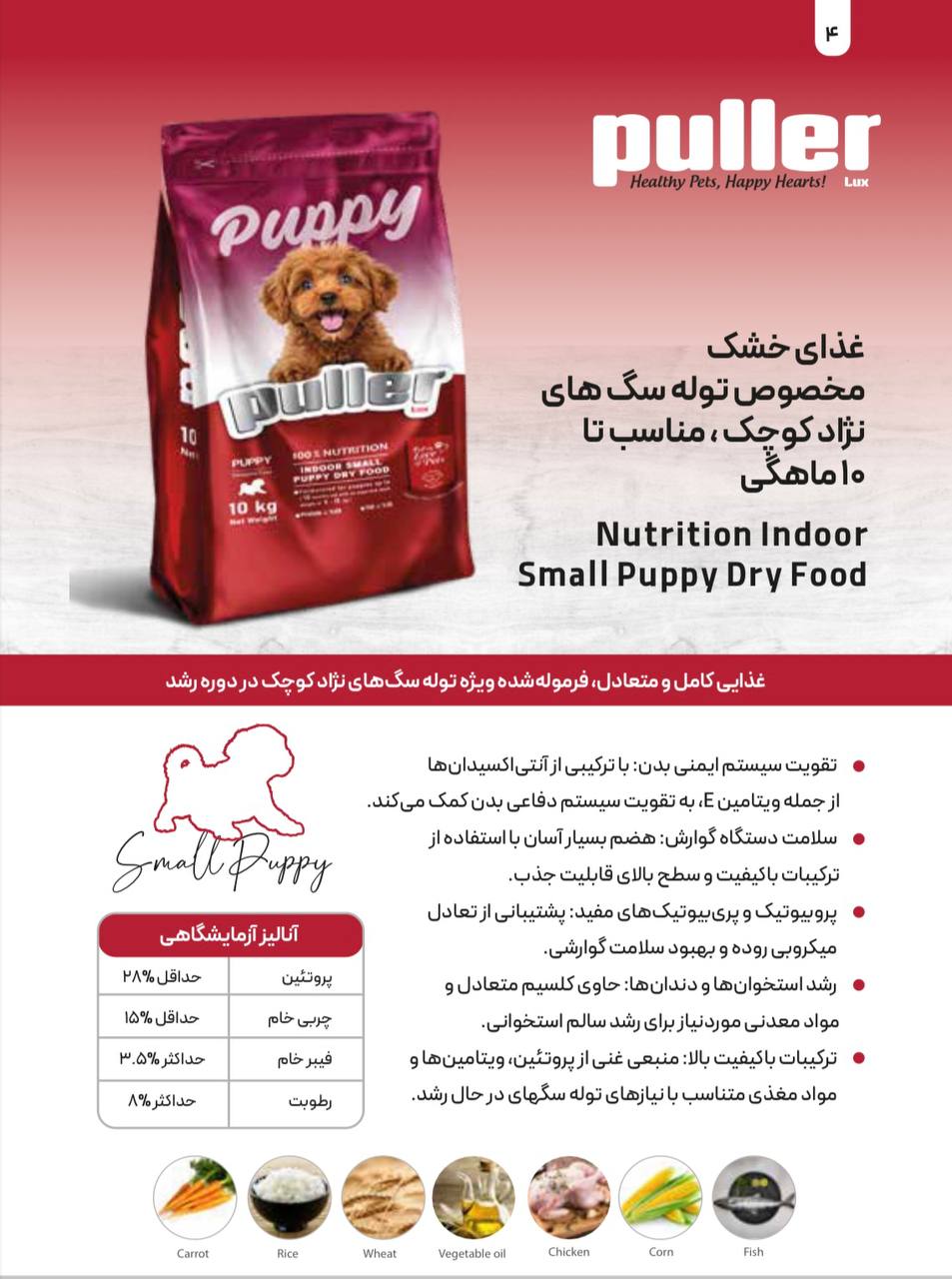 غذا خشک سگ نژاد کوچک پاپی