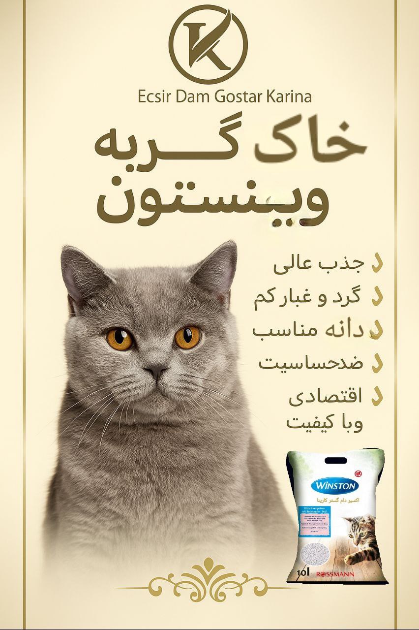 خاک گربه وینستون