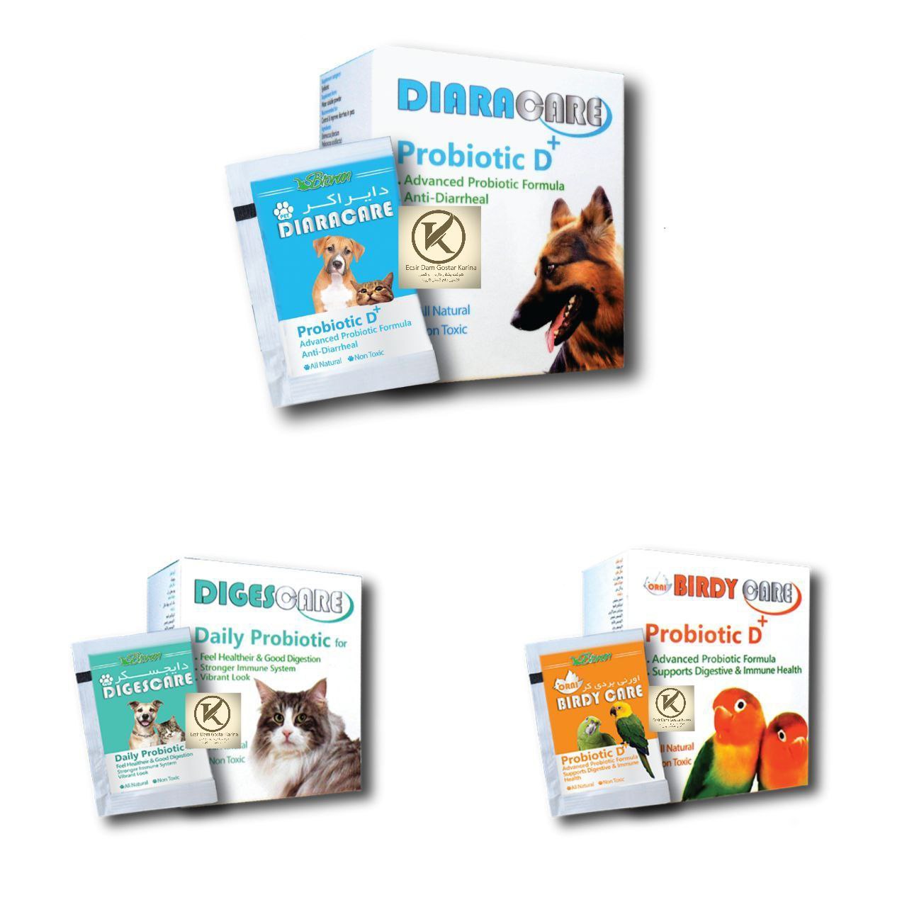 دایراکر-دایجسکر-بردی کر