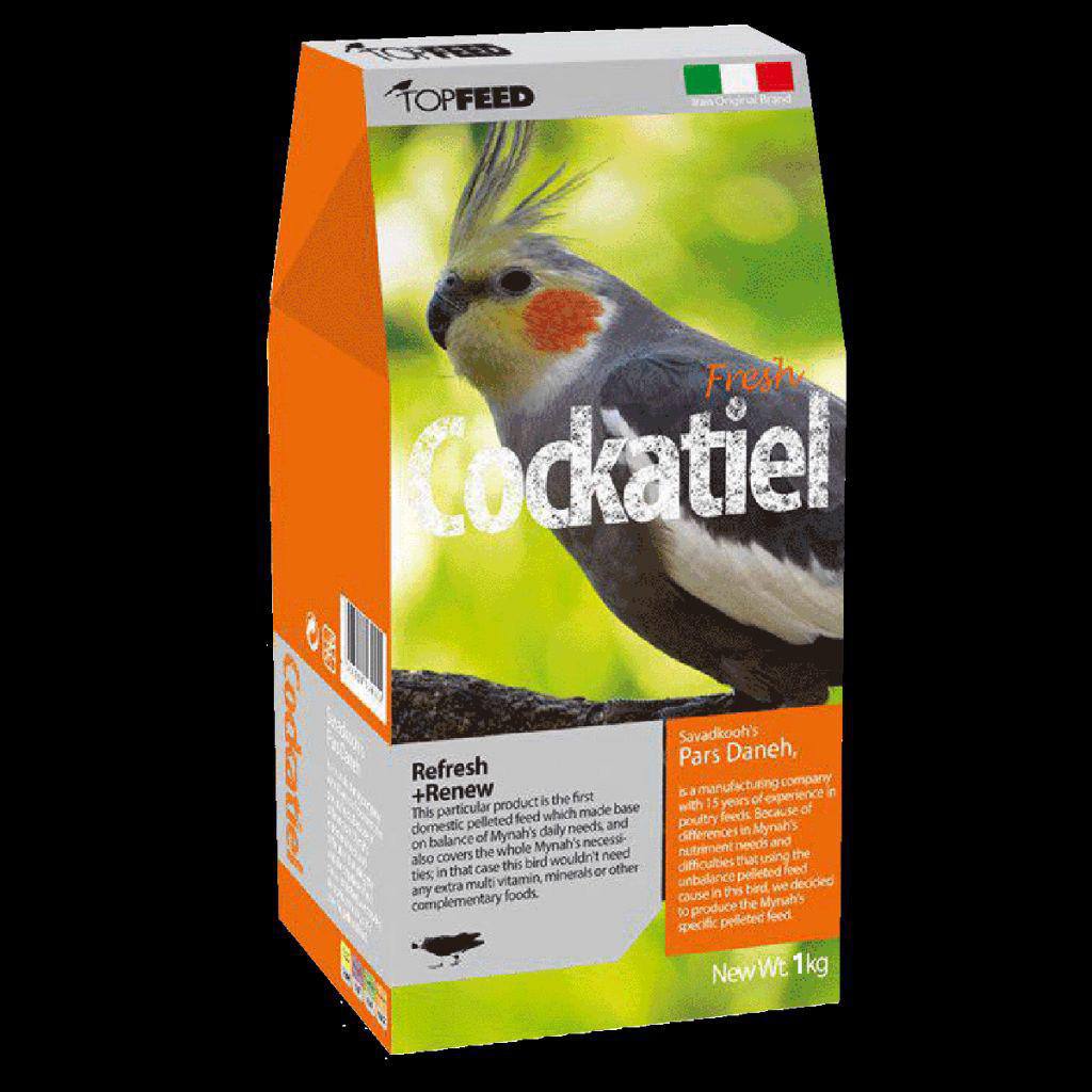 تاپ فید عروس هلندی