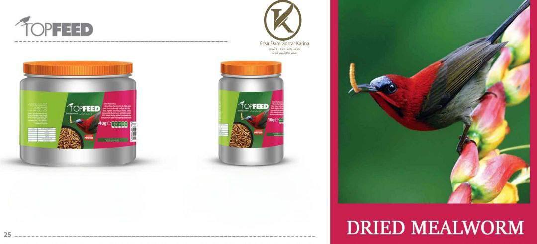 میل ورم تاپ فید