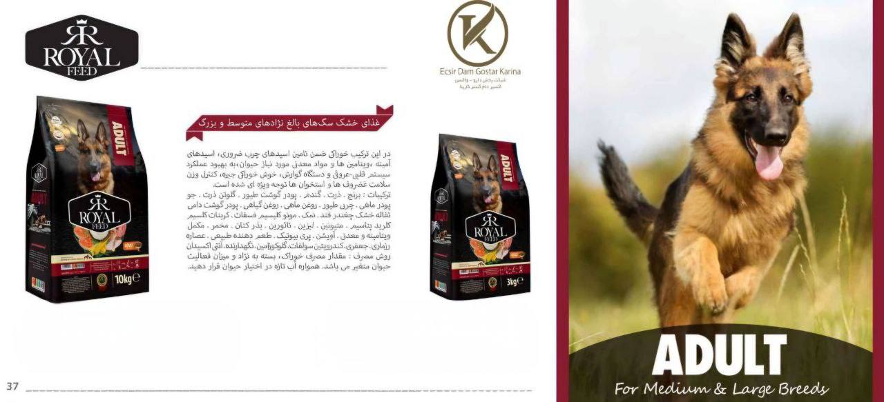 غذا خشک رویال فید