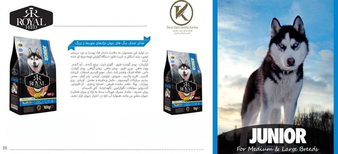 غذا خشک رویال فید