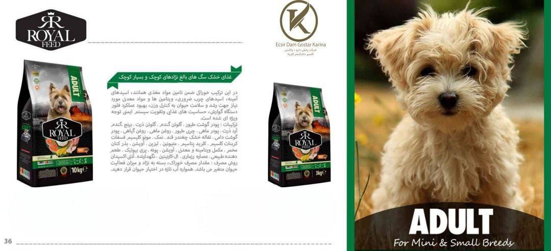 غذا خشک رویال فید