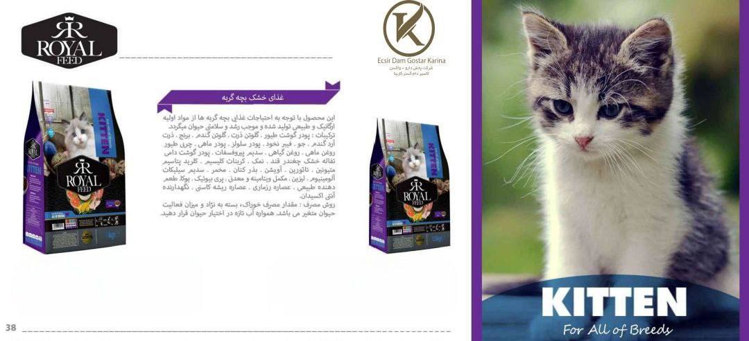 غذای خشک رویال فید