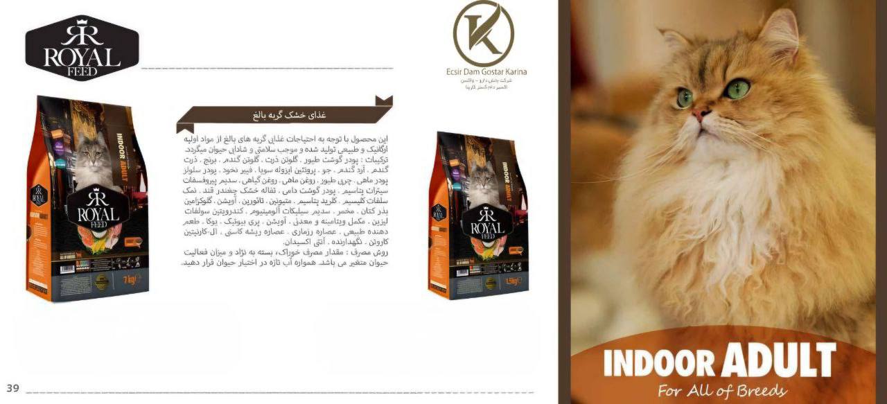 غذای خشک رویال فید