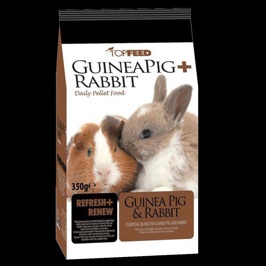 غذای خرگوش و خوکچه